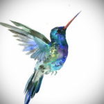 эскиз тату колибри цветная 16.09.2019 №006 - color sketch hummingbird tatto - tatufoto.com