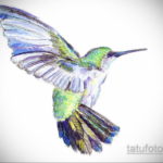 эскиз тату колибри цветная 16.09.2019 №008 - color sketch hummingbird tatto - tatufoto.com