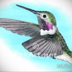 эскиз тату колибри цветная 16.09.2019 №017 - color sketch hummingbird tatto - tatufoto.com