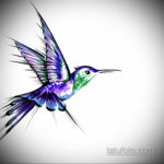 эскиз тату колибри цветная 16.09.2019 №019 - color sketch hummingbird tatto - tatufoto.com