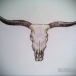 эскиз тату череп быка 17.09.2019 №013 - bull skull tattoo sketch - tatufoto.com