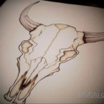 эскиз тату череп быка 17.09.2019 №026 - bull skull tattoo sketch - tatufoto.com