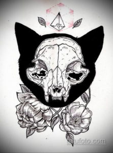 эскиз тату череп кошки 17.09.2019 №001 - cat skull tattoo sketch - tatufoto.com