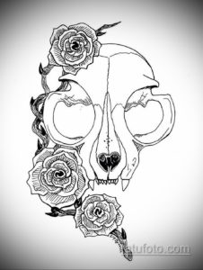 эскиз тату череп кошки 17.09.2019 №002 - cat skull tattoo sketch - tatufoto.com