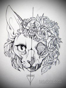 эскиз тату череп кошки 17.09.2019 №003 - cat skull tattoo sketch - tatufoto.com