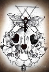 эскиз тату череп кошки 17.09.2019 №004 - cat skull tattoo sketch - tatufoto.com