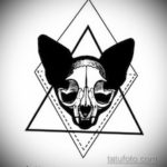 эскиз тату череп кошки 17.09.2019 №008 - cat skull tattoo sketch - tatufoto.com