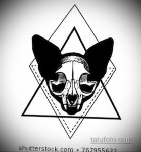 эскиз тату череп кошки 17.09.2019 №008 - cat skull tattoo sketch - tatufoto.com