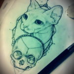 эскиз тату череп кошки 17.09.2019 №009 - cat skull tattoo sketch - tatufoto.com