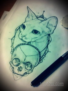 эскиз тату череп кошки 17.09.2019 №009 - cat skull tattoo sketch - tatufoto.com