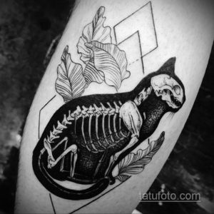 эскиз тату череп кошки 17.09.2019 №010 - cat skull tattoo sketch - tatufoto.com