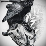 эскиз тату череп кошки 17.09.2019 №014 - cat skull tattoo sketch - tatufoto.com