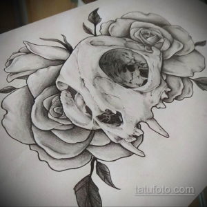 эскиз тату череп кошки 17.09.2019 №015 - cat skull tattoo sketch - tatufoto.com