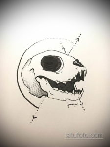 эскиз тату череп кошки 17.09.2019 №017 - cat skull tattoo sketch - tatufoto.com
