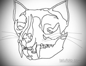 эскиз тату череп кошки 17.09.2019 №023 - cat skull tattoo sketch - tatufoto.com