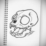 эскиз тату череп кошки 17.09.2019 №024 - cat skull tattoo sketch - tatufoto.com