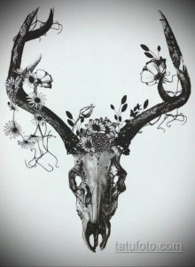 эскиз тату череп с рогами 17.09.2019 №008 - Skull tattoo sketch with horns - tatufoto.com