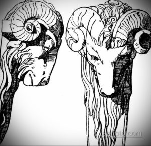 эскиз тату череп с рогами 17.09.2019 №021 - Skull tattoo sketch with horns - tatufoto.com