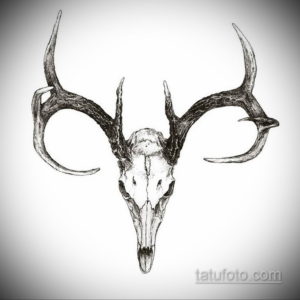 эскиз тату череп с рогами 17.09.2019 №025 - Skull tattoo sketch with horns - tatufoto.com