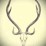 эскиз тату череп с рогами 17.09.2019 №027 - Skull tattoo sketch with horns - tatufoto.com