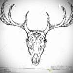 эскиз тату череп с рогами 17.09.2019 №030 - Skull tattoo sketch with horns - tatufoto.com