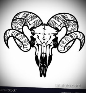 эскиз тату череп с рогами 17.09.2019 №031 - Skull tattoo sketch with horns - tatufoto.com