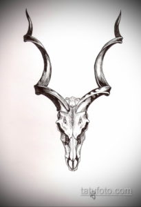 эскиз тату череп с рогами 17.09.2019 №038 - Skull tattoo sketch with horns - tatufoto.com
