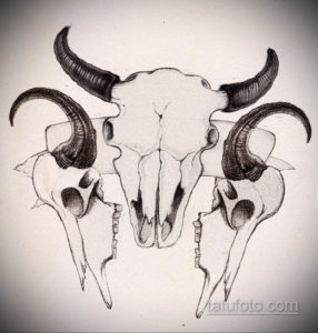 эскиз тату череп с рогами 17.09.2019 №040 - Skull tattoo sketch with horns - tatufoto.com