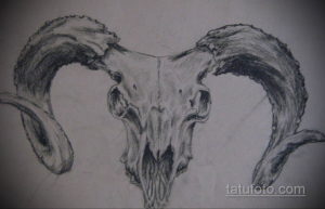 эскиз тату череп с рогами 17.09.2019 №054 - Skull tattoo sketch with horns - tatufoto.com