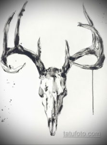 эскиз тату череп с рогами 17.09.2019 №058 - Skull tattoo sketch with horns - tatufoto.com