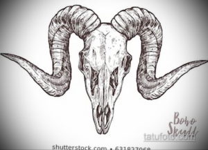 эскиз тату череп с рогами 17.09.2019 №059 - Skull tattoo sketch with horns - tatufoto.com