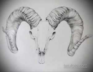 эскиз тату череп с рогами 17.09.2019 №061 - Skull tattoo sketch with horns - tatufoto.com