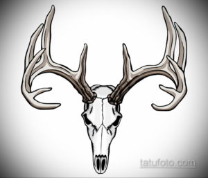 эскиз тату череп с рогами 17.09.2019 №064 - Skull tattoo sketch with horns - tatufoto.com