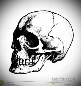 эскиз тату черные черепа 17.09.2019 №012 - black skull tattoo sketch - tatufoto.com