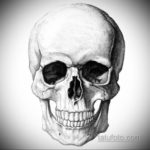эскиз тату черные черепа 17.09.2019 №045 - black skull tattoo sketch - tatufoto.com