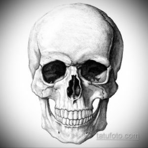 эскиз тату черные черепа 17.09.2019 №045 - black skull tattoo sketch - tatufoto.com
