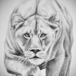эскизы женских тату льва 14.09.2019 №011 - sketches of female lion tattoos - tatufoto.com