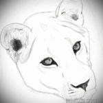 эскизы женских тату льва 14.09.2019 №021 - sketches of female lion tattoos - tatufoto.com