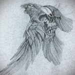 эскизы тату череп ворон 17.09.2019 №002 - Raven Skull Tattoo Sketches - tatufoto.com