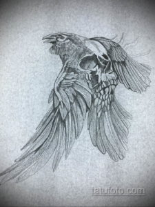 эскизы тату череп ворон 17.09.2019 №002 - Raven Skull Tattoo Sketches - tatufoto.com