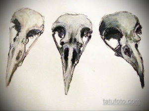 эскизы тату череп ворон 17.09.2019 №003 - Raven Skull Tattoo Sketches - tatufoto.com