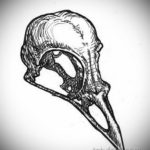 эскизы тату череп ворон 17.09.2019 №007 - Raven Skull Tattoo Sketches - tatufoto.com