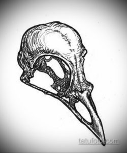эскизы тату череп ворон 17.09.2019 №007 - Raven Skull Tattoo Sketches - tatufoto.com