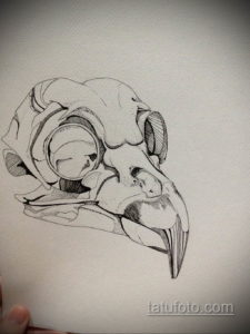 эскизы тату череп ворон 17.09.2019 №012 - Raven Skull Tattoo Sketches - tatufoto.com