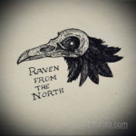 эскизы тату череп ворон 17.09.2019 №017 - Raven Skull Tattoo Sketches - tatufoto.com