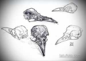 эскизы тату череп ворон 17.09.2019 №018 - Raven Skull Tattoo Sketches - tatufoto.com