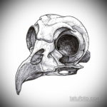 эскизы тату череп ворон 17.09.2019 №021 - Raven Skull Tattoo Sketches - tatufoto.com