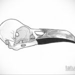 эскизы тату череп ворон 17.09.2019 №022 - Raven Skull Tattoo Sketches - tatufoto.com