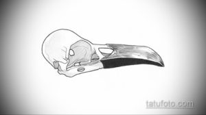 эскизы тату череп ворон 17.09.2019 №022 - Raven Skull Tattoo Sketches - tatufoto.com
