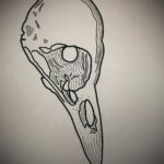 эскизы тату череп ворон 17.09.2019 №023 - Raven Skull Tattoo Sketches - tatufoto.com
